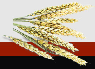 首页- 人生就是博中国官网入口