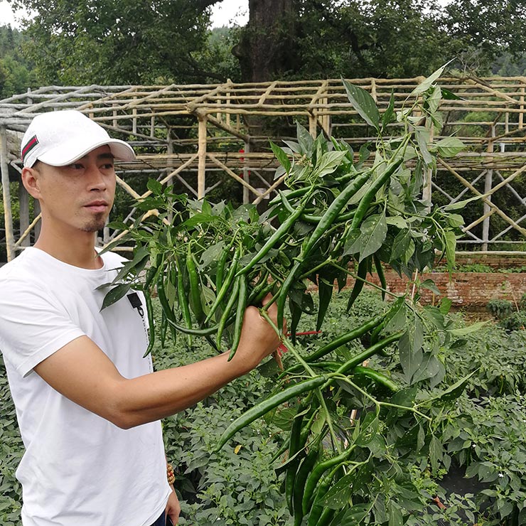 首页- 人生就是博中国官网入口