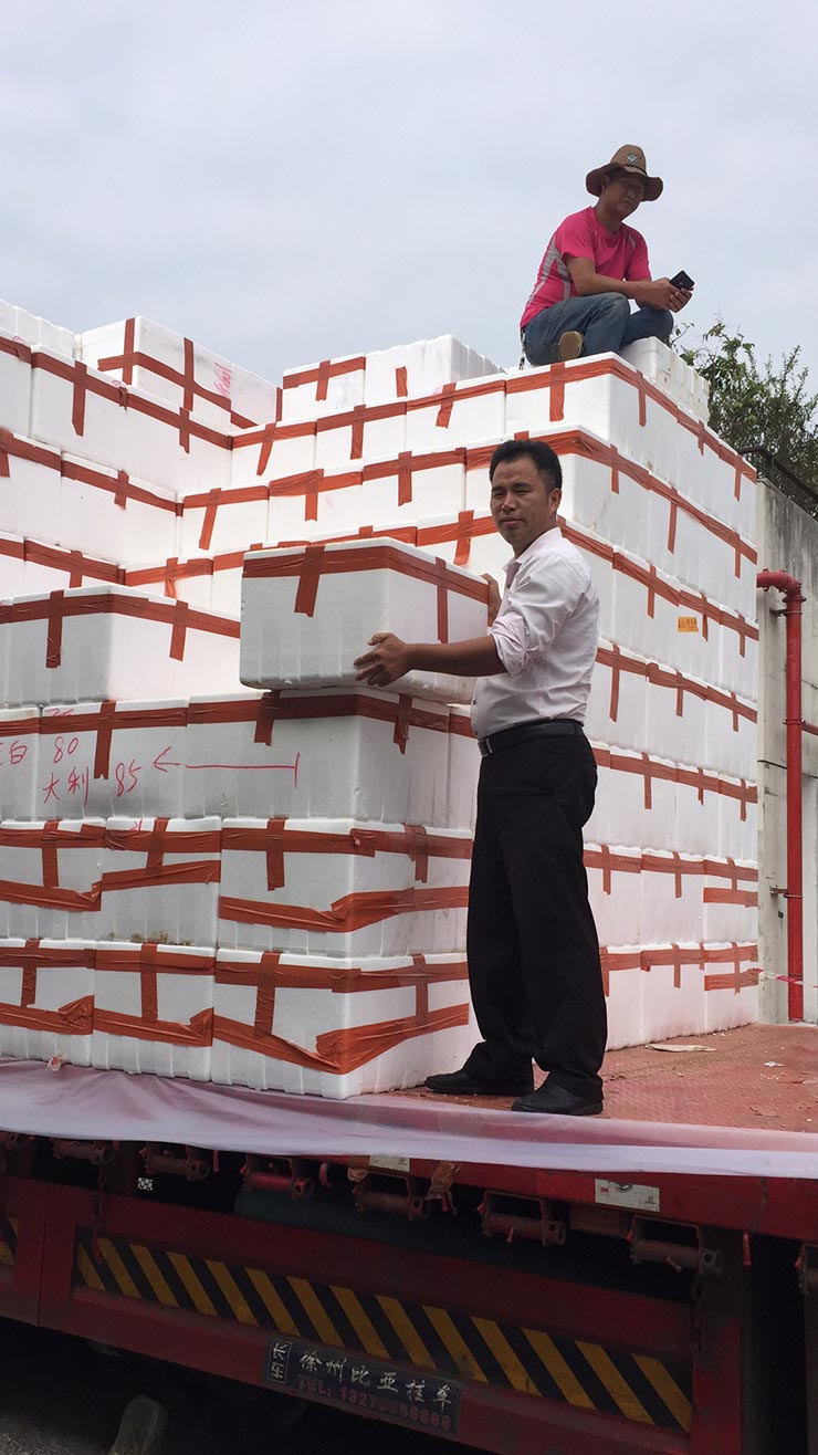 首页- 人生就是博中国官网入口