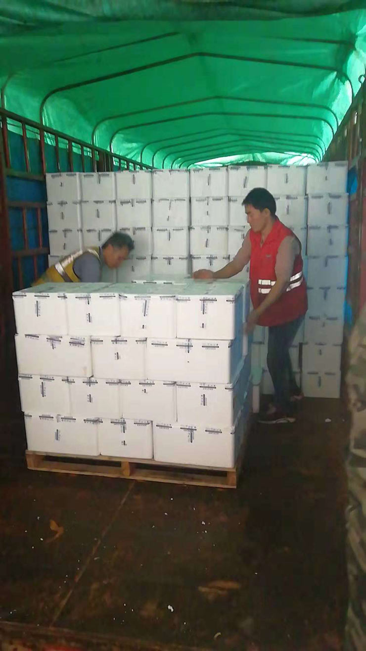 首页- 人生就是博中国官网入口