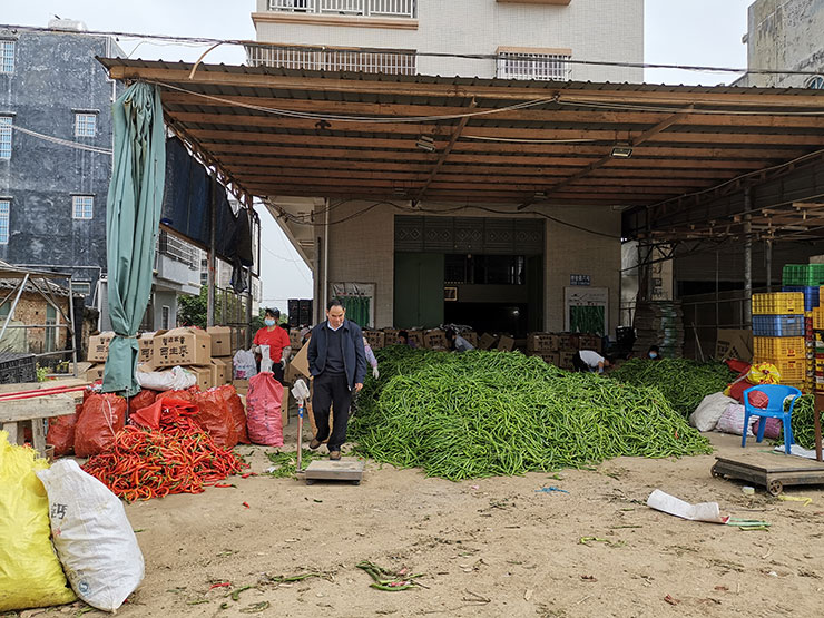 首页- 人生就是博中国官网入口