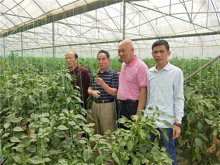 首页- 人生就是博中国官网入口