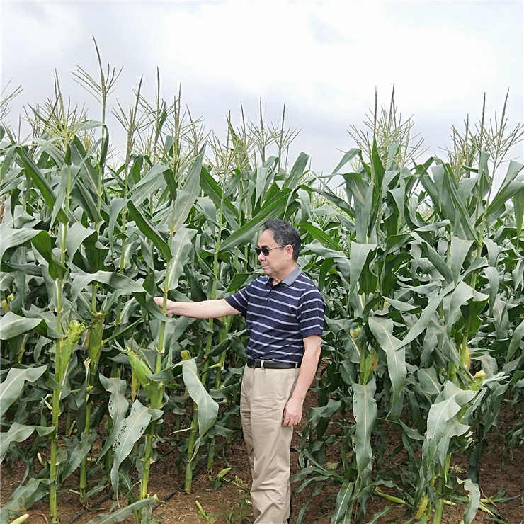 首页- 人生就是博中国官网入口