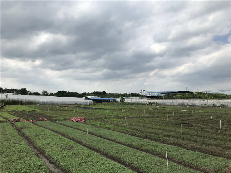 首页- 人生就是博中国官网入口