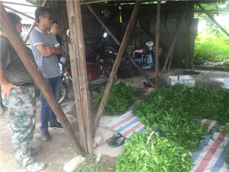 首页- 人生就是博中国官网入口