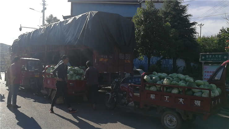 首页- 人生就是博中国官网入口