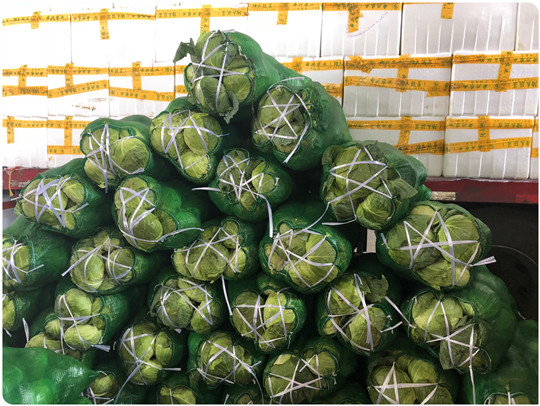 首页- 人生就是博中国官网入口