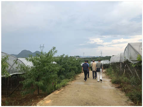 首页- 人生就是博中国官网入口