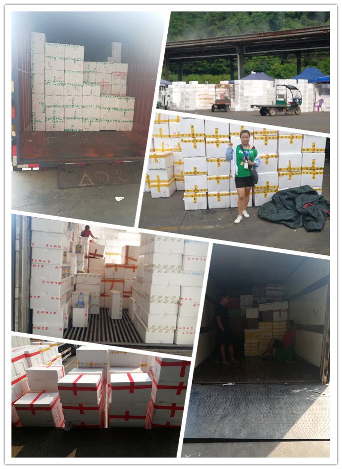 首页- 人生就是博中国官网入口