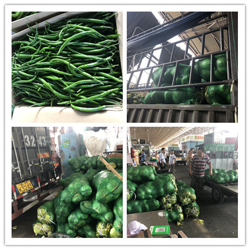 首页- 人生就是博中国官网入口