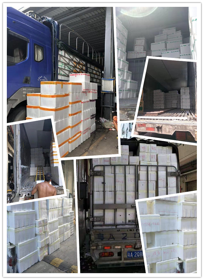 首页- 人生就是博中国官网入口