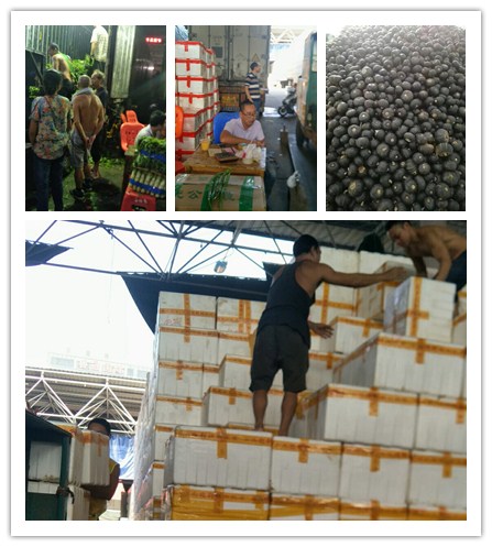 首页- 人生就是博中国官网入口