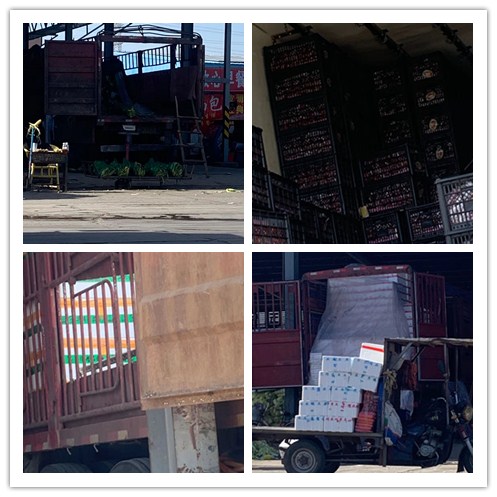 首页- 人生就是博中国官网入口