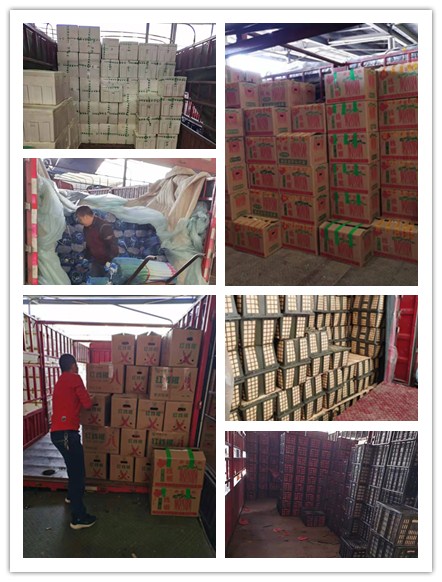 首页- 人生就是博中国官网入口