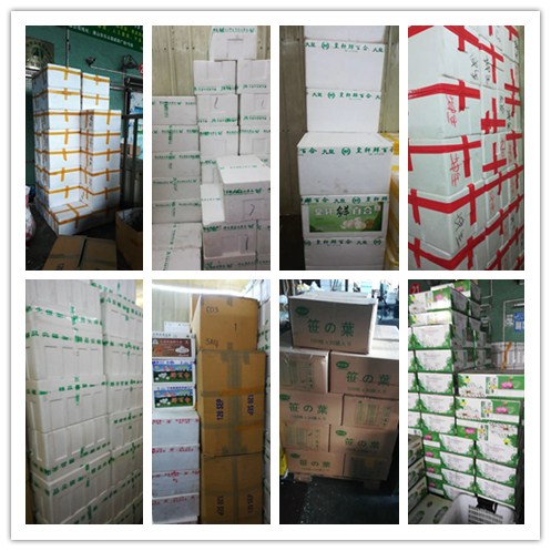 首页- 人生就是博中国官网入口