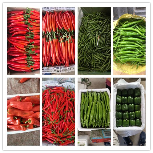 首页- 人生就是博中国官网入口