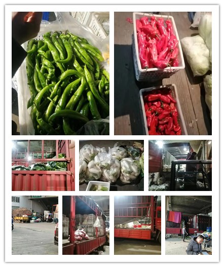 首页- 人生就是博中国官网入口