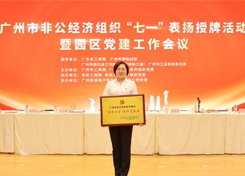 标杆引领，荣誉升级！集团党支部荣膺广州市非公有造经济组织“双强六好”标