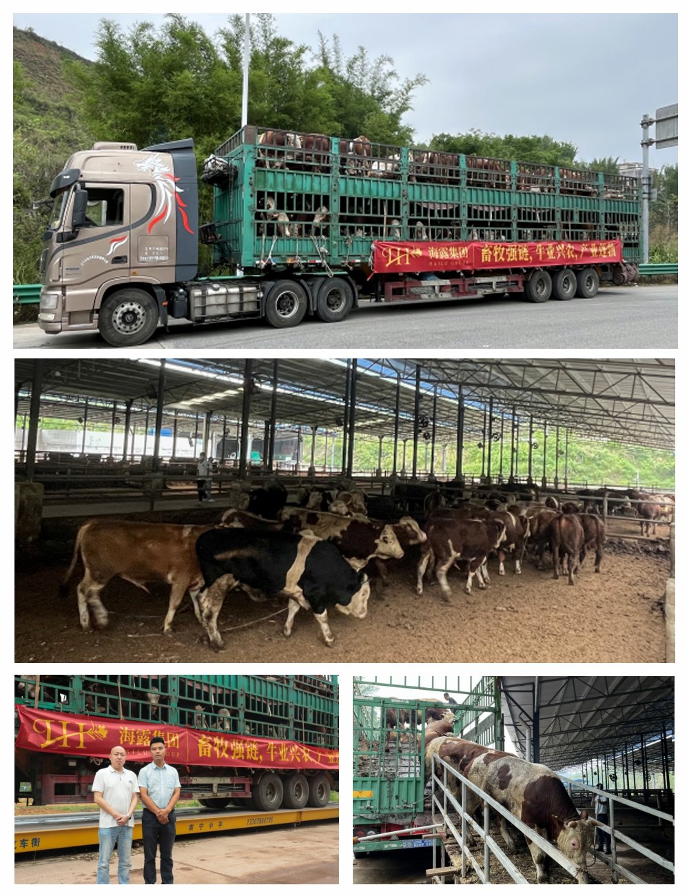 首页- 人生就是博中国官网入口